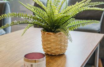 Augusta House - Moseley - Foto 13