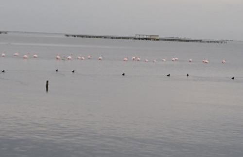 Alojamiento rural Masía Valldepérez - Foto 31