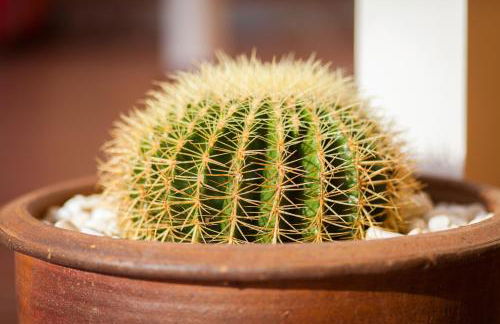 El Marqués Palace by Intercorp Hotel Group - Foto 140