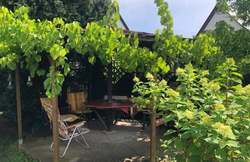 Tannhäuser Hörselhäuschen - Foto 11