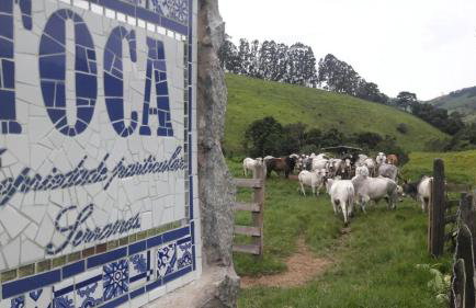 Toca - Bairro Serrano - Foto 55