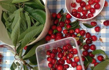 Cherrytree Cottage 1840 - Foto 34