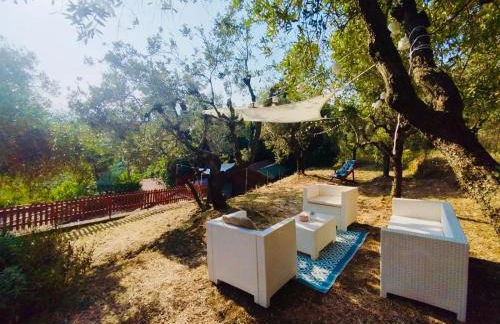 Casa Isabella- Barbecue, Giardino - Foto 2