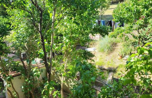 Maison au cœur du Verdon 2 chambres et terrasse - Foto 6