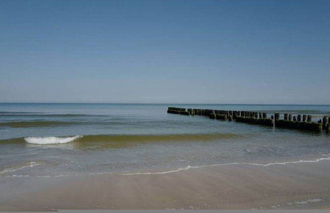 Art Forrest 33 K in Rogowo - Photo 18