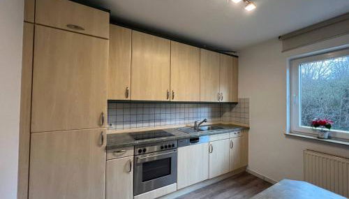 Dill Apartments Peine - Foto 2, stove, dishwasher, pet friendly, minibar