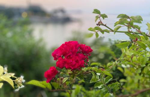 Mundaka Beachfront House - Foto 50