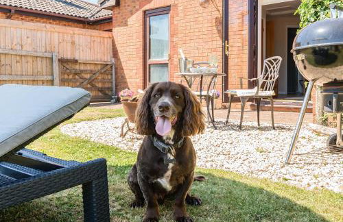 Piglet Corner - Photo 19