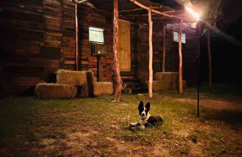 Cabin 2 - steps from the river! - Foto 10