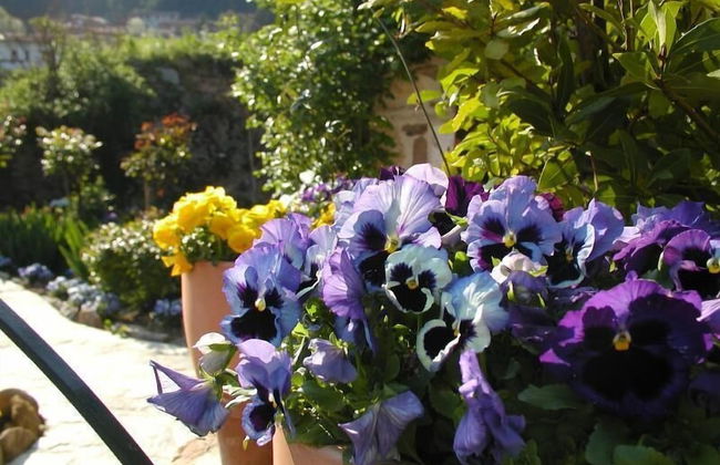 Adorable Tuscan Cottage With Beautiful Garden Just Outside Lucca, Sleeps 2 - Foto 19
