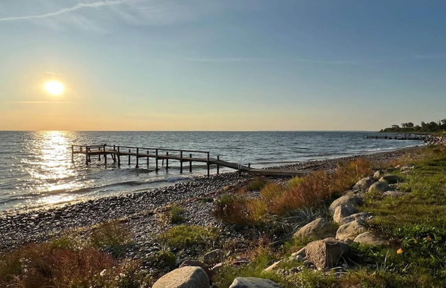 4 Person Holiday Home in Frorup - Photo 51