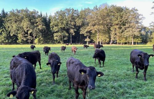 Gästehof Huber - Foto 13