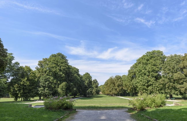 Luxus 70m2 sannierte City Wohnung - Foto 18