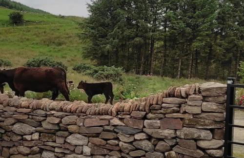 Ardagh Cottage Secluded in Glenshesk near Ballycastle - Foto 40