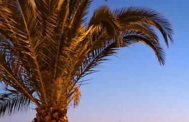 Angel's Houses - Foto 10