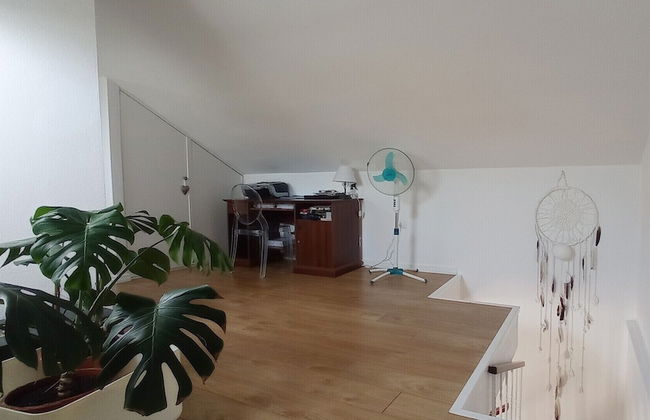 Cagliari Down Town 1 - Photo 11