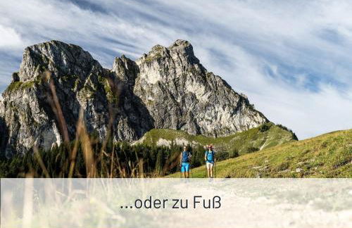 Hoimat Pfronten - Luxusappartements mit Sauna und Bergblick - Foto 13