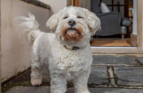 3 Bed in Kingsbridge oc-93956 - Foto 14