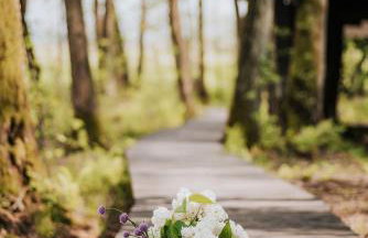 Dziki Las - domki na drzewach - Foto 19