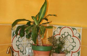 Casa de Vivar a 5 minutos de Puy du Fou - Foto 38