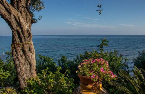 Beachfront Romantica place First floor - Foto 10