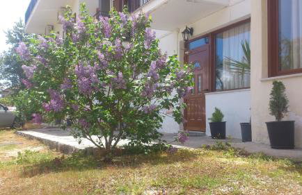 Domus Inn - Photo 66