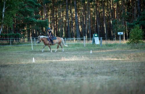 traumHaff Küstenchalets - einzigartige Chalets an der Ostsee. Ganz aus Lärchenholz mit Kamin und Sauna - Foto 52