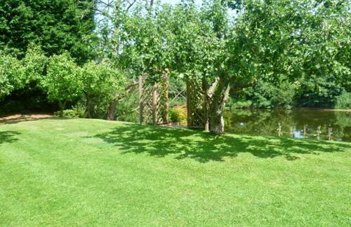 Severn Bank Lodge - Foto 12