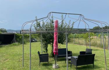 Le mas de la Cognasse - Foto 10