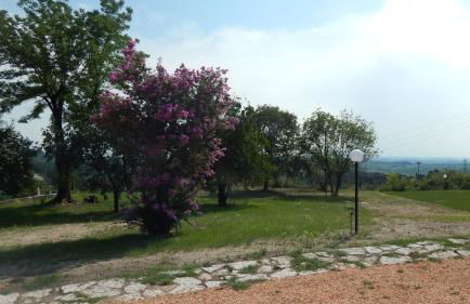 Poggio di Pastrengo - Photo 75