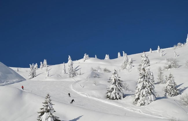 Baita Goles - Foto 9