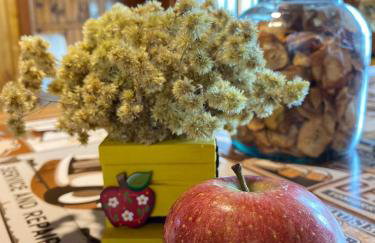 Chalé Boutique Recanto dos Ursos - Foto 62