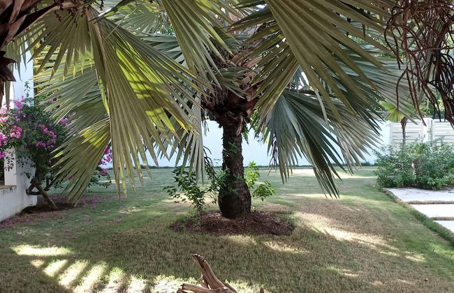 Villa Joyosa- Las Terrenas Beachfront Villa - Foto 53