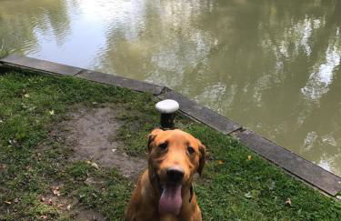 Rew Farm Country & Equestrian Accommodation - Sunrise Lodge - Foto 36