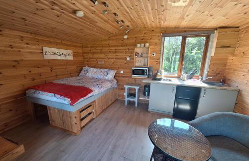 Beautiful Wooden tiny house, Glamping cabin with hot tub 2 - Foto 8