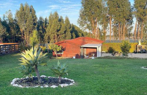 Herdade do Kuanza - Foto 158