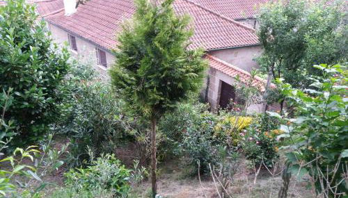 Casa de Campo Cabriz Casa do Brasileiro - Foto 2