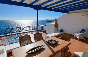 Erizo de mar - Foto 1