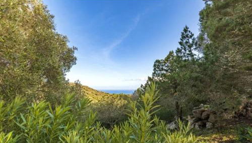 Villa Cala Rossa 45M2 4-5 pers Rondinara Bonifacio - Foto 4