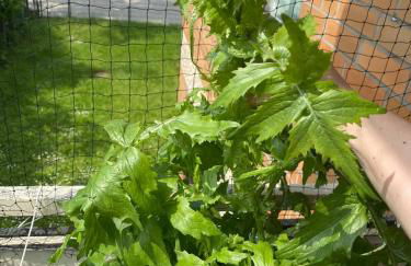 Woody Style Apartment near Langenhagen Airport - Foto 10