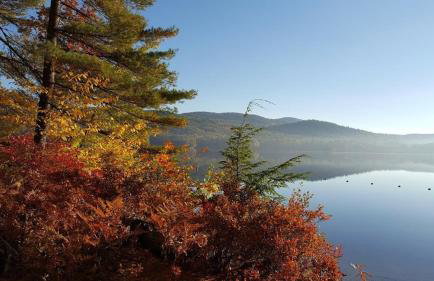 Deer Valley Retreat, Lovely Log Cabin with Fireplace & Garden Views- Perfect for a Relaxing Getaway! - Foto 44