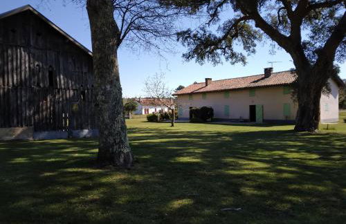 LE PETIT FROUAS CENTRE - Foto 17