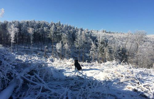 Appartamento Turistico Dal Morino - Foto 10