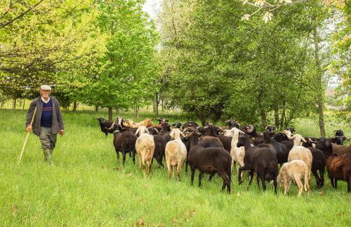 Chão do Rio - Turismo de Aldeia - Foto 15