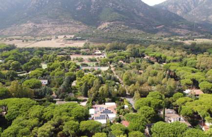 Jungle House - Pineta Is Morus - Foto 68