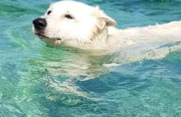 Haus Rudi- rustikalna oaza mira - Foto 16