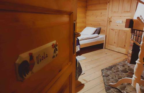 Gniazdo w Felicjanowie - Foto 34