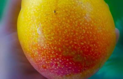 PonoMana Oasis's - Koi Cottage - Foto 41