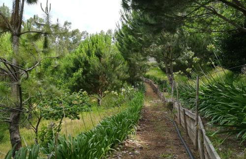 Quinta de S. Vicente 317 - Foto 53