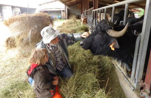 Domaine du Bas Chalus - Foto 9